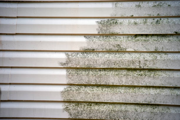 Siding Removal and Disposal in Lakeland, NY